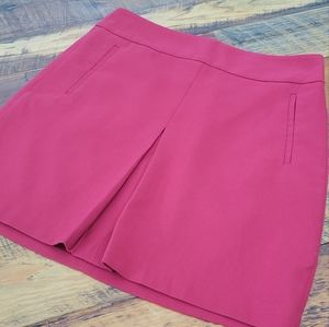 Ann Taylor Loft Skirt, Size 10